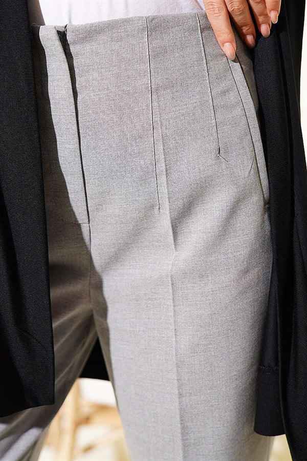 Gray Carrot Pants with Waist Darts