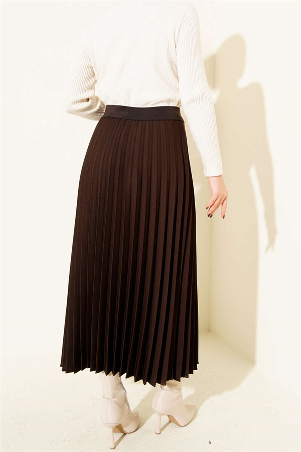 Elastic Waist Pleated Skirt, Brown