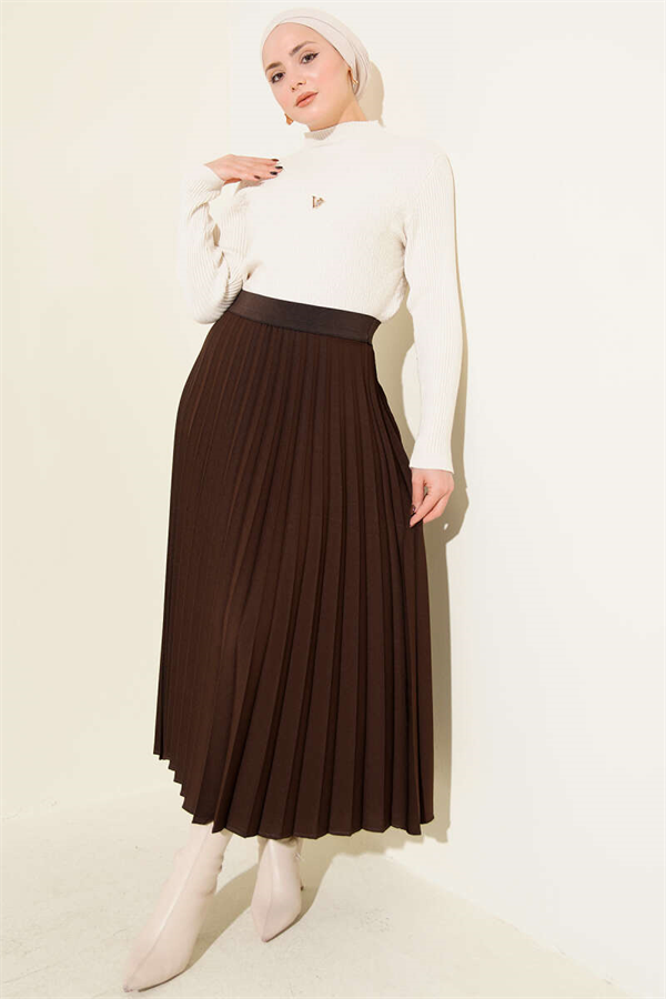 Elastic Waist Pleated Skirt, Brown