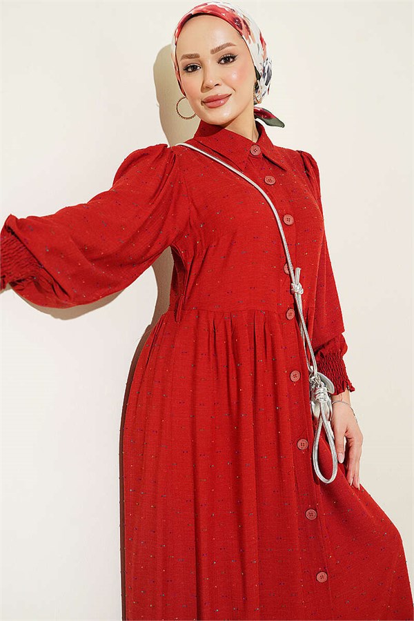 Button-Down Dress in Burgundy