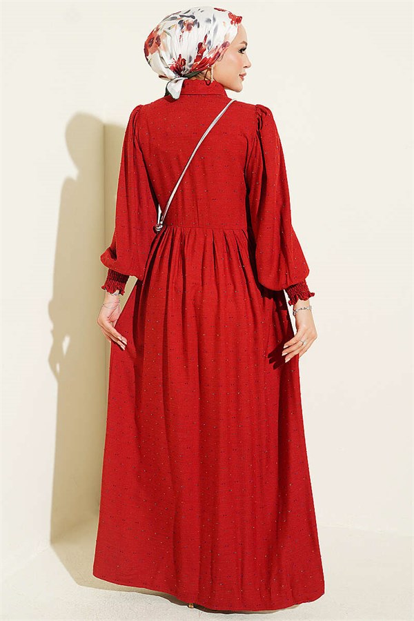 Button-Down Dress in Burgundy