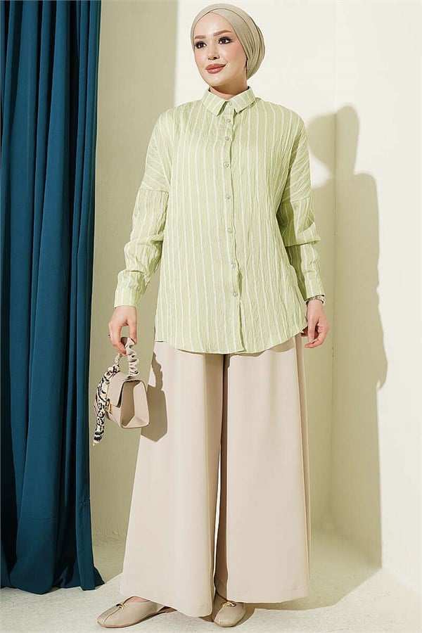 Vertical Striped Basic Shirt, Light Green