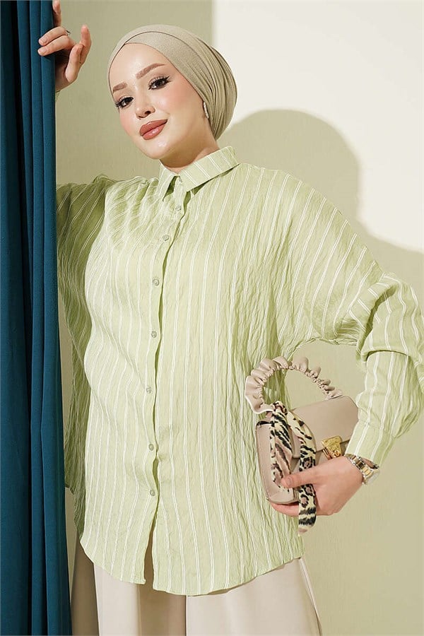 Vertical Striped Basic Shirt, Light Green