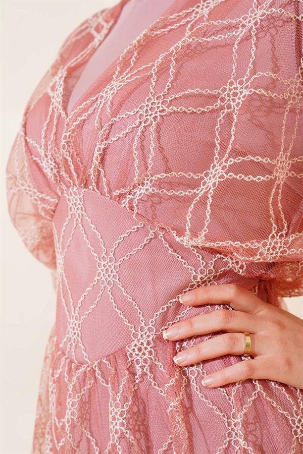 Embroidered Tulle Dress Dusty Rose