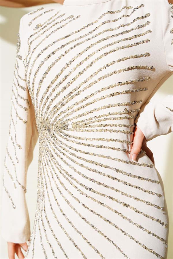 Dress with Stone Embellished Front and Sleeves