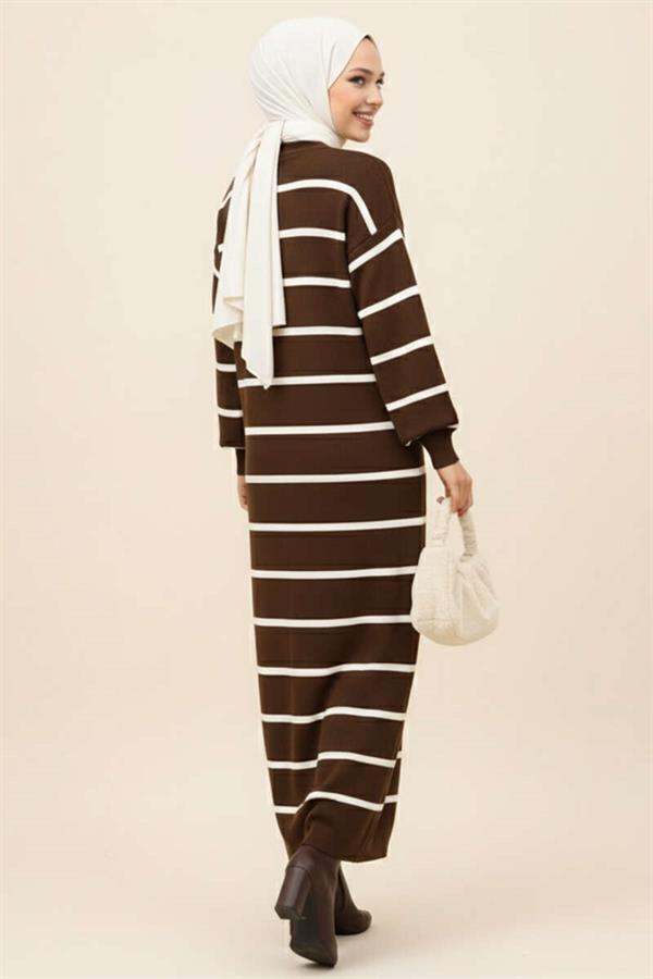 Horizontal Striped Turtleneck Knit Dress Brown