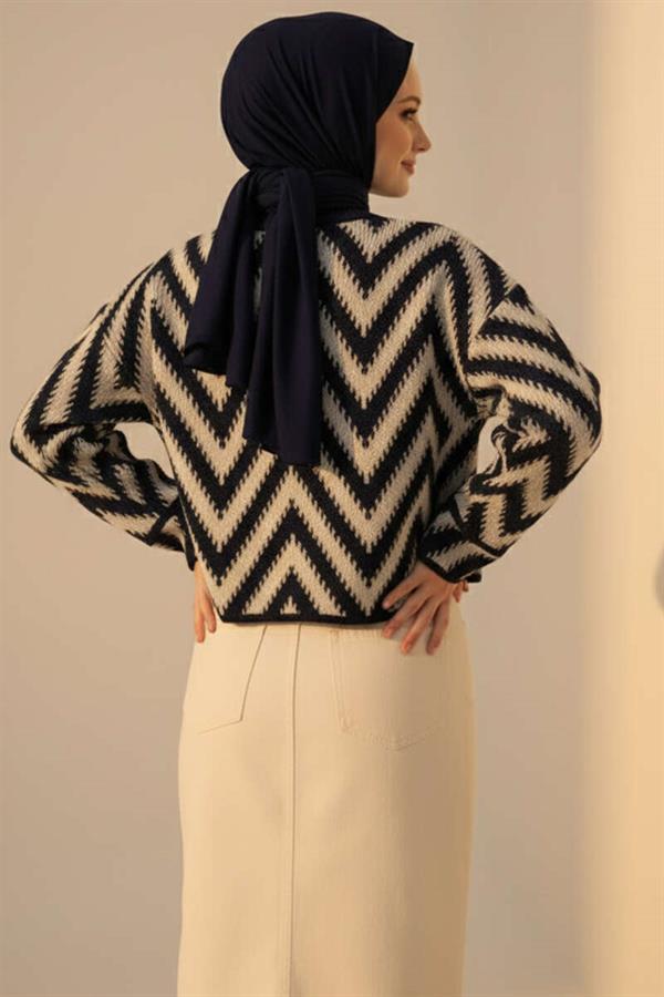 Zigzag Pattern Openwork Knitwear Sweater Navy Blue